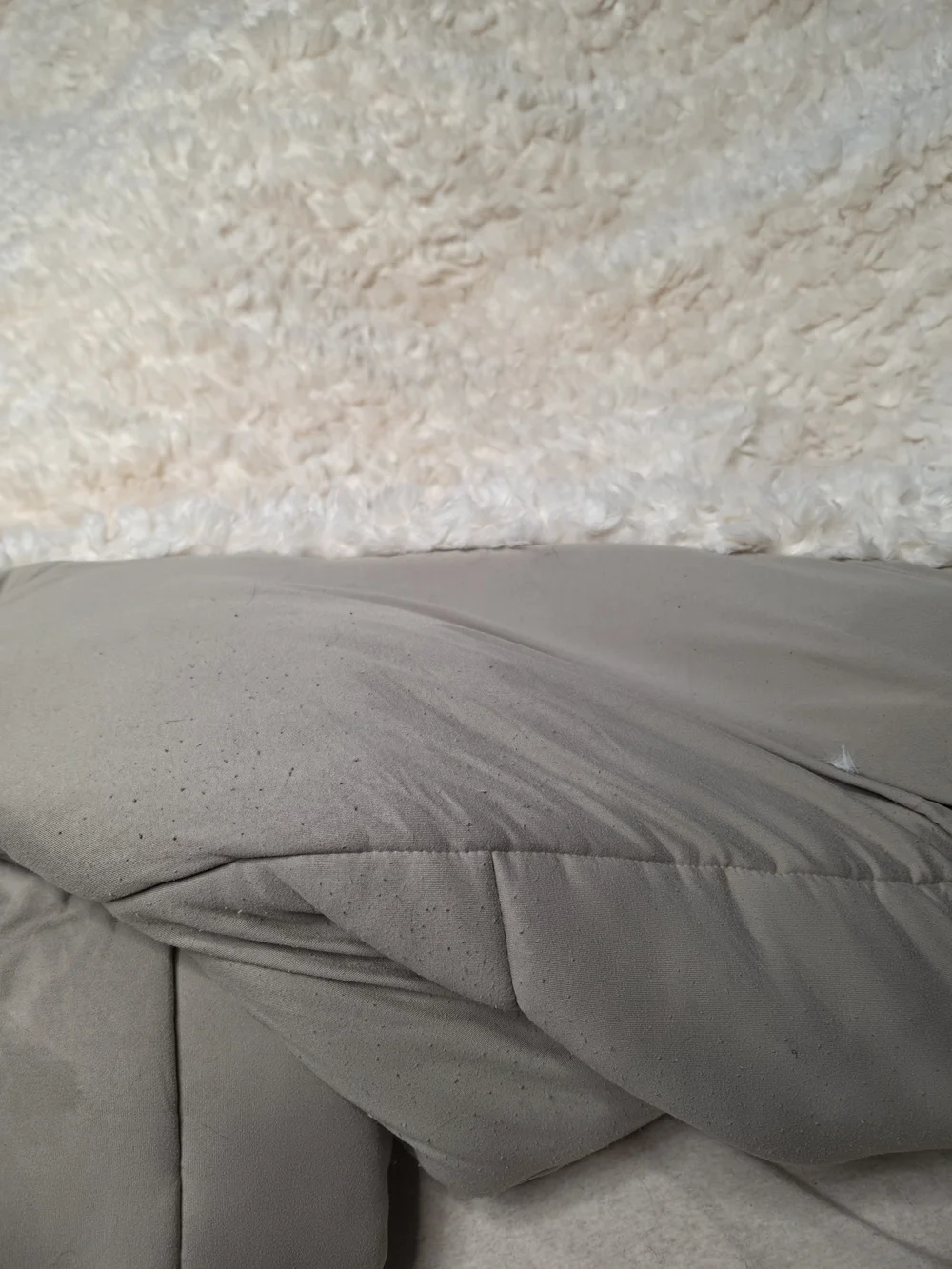 Coma Inducer Plush Faux Sheepskin Bedspread - Cream